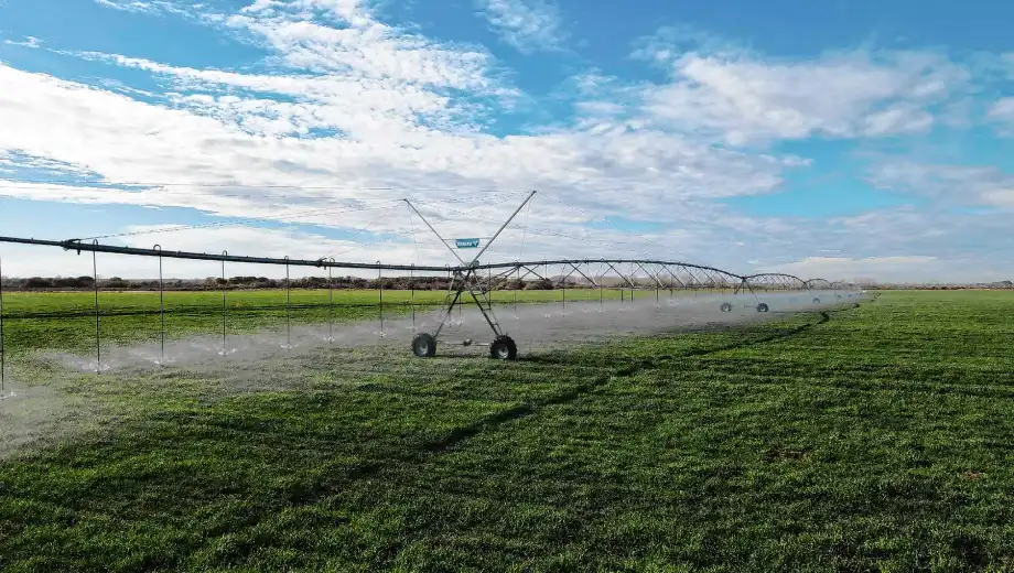 Producción agrícola bajo riego en la Patagonia